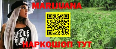 амф Дубна
